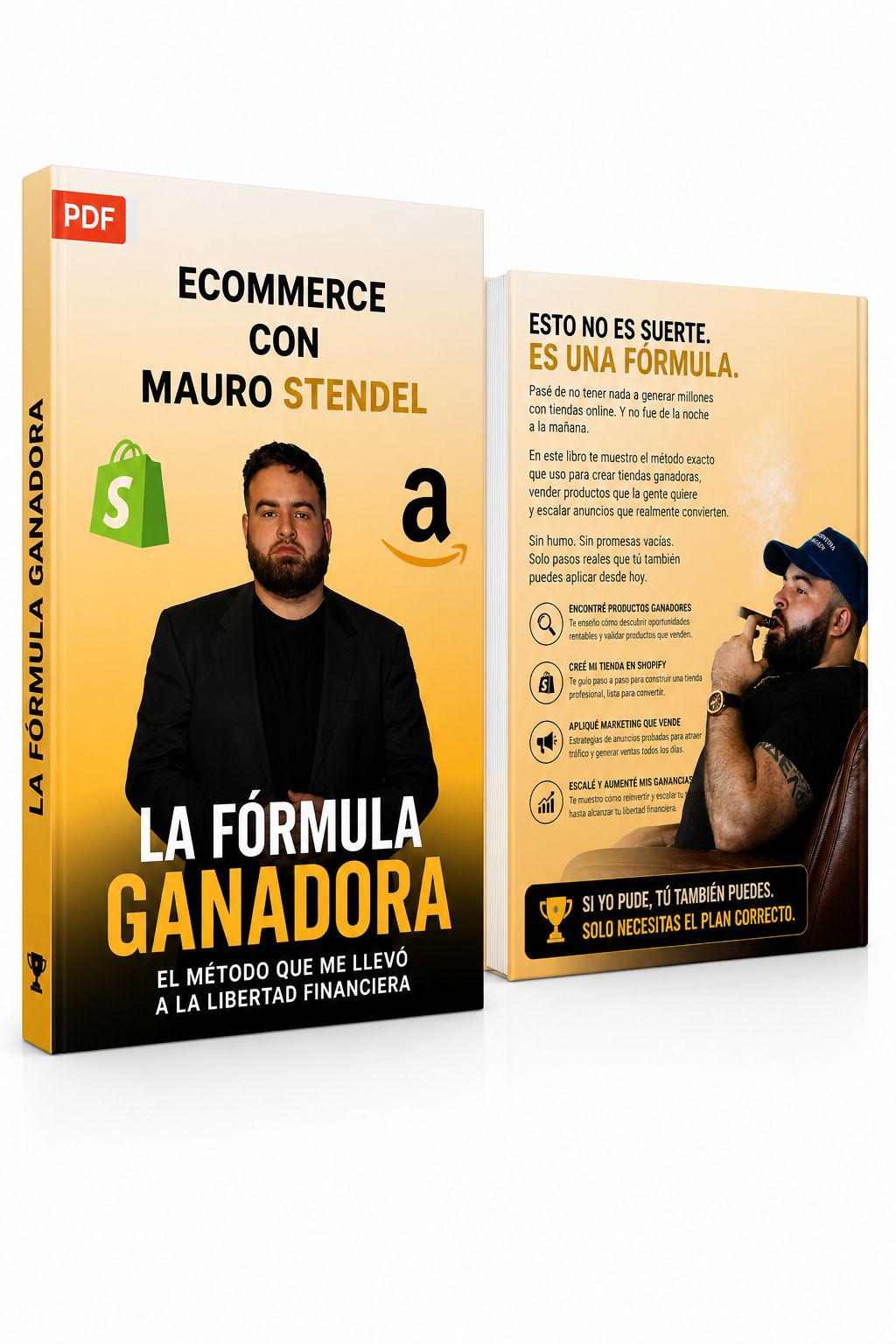 Guía eCommerce Mauro Stendel